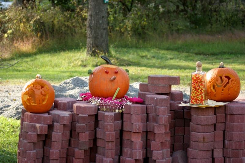 Pumpkin Contest